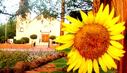3rd Annual Tubac Van Gogh Sunflower Paint Out, Auction